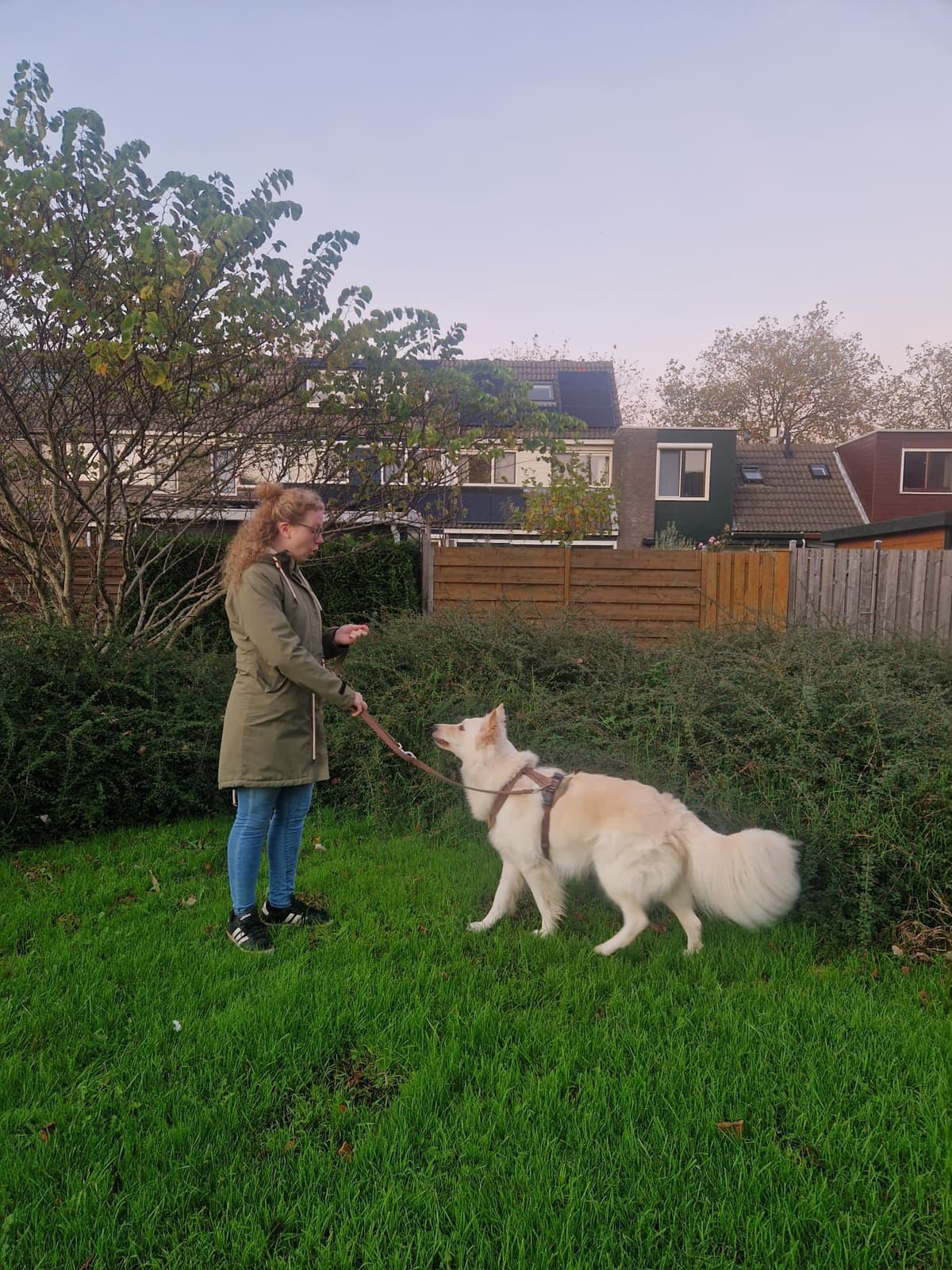 De Juiste Stap - Eliane met hond